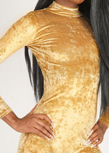 Load image into Gallery viewer, Close view of Velvet Catsuit