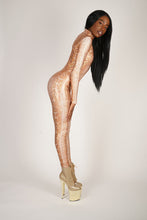 Load image into Gallery viewer, Python Catsuit