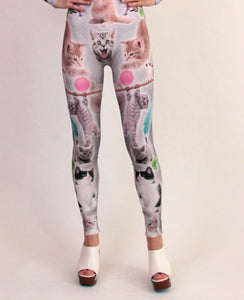 Kittens catsuit